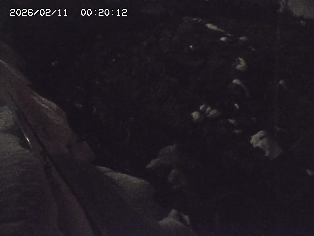 私都川７2026/02/11 3:10:00