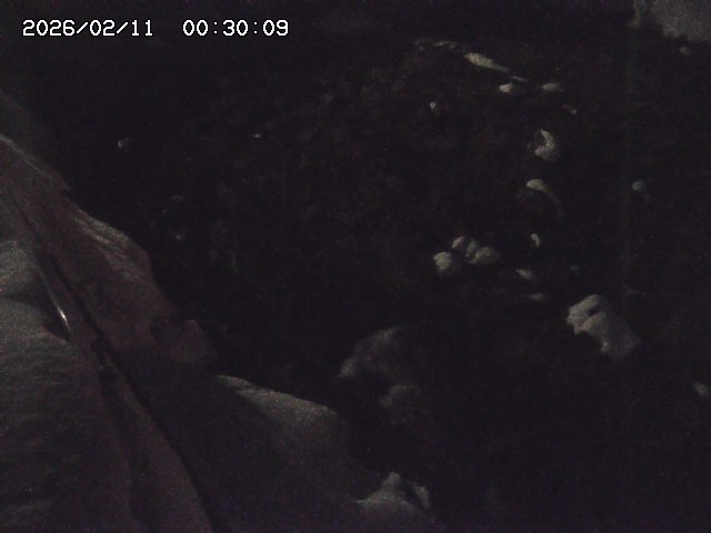 私都川７2026/02/11 3:10:00