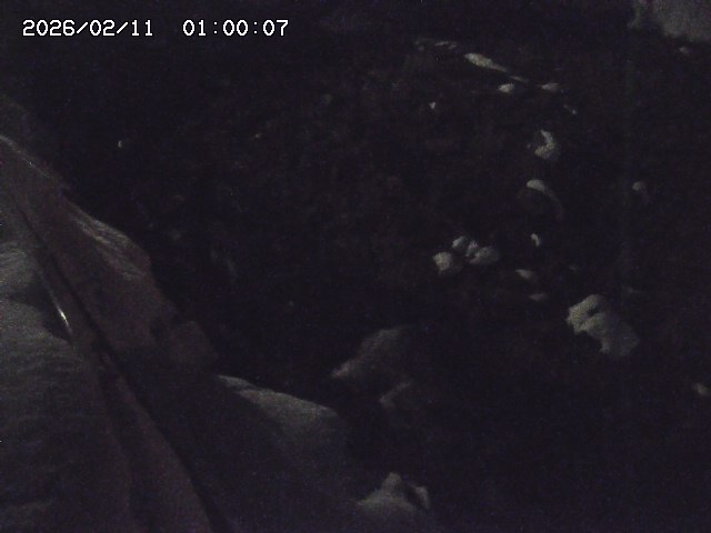 私都川７2026/02/11 3:10:00