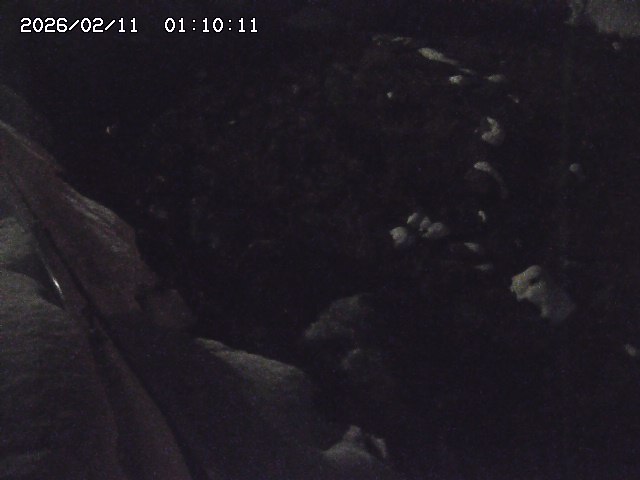 私都川７2026/02/11 3:10:00