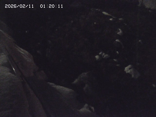 私都川７2026/02/11 3:10:00