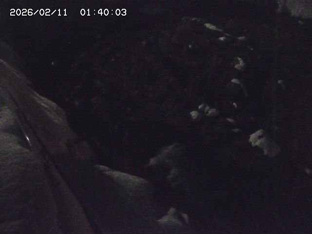 私都川７2026/02/11 3:10:00