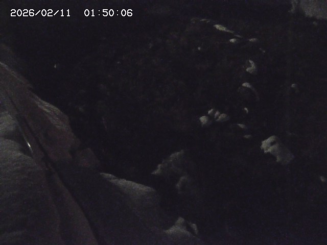 私都川７2026/02/11 3:10:00