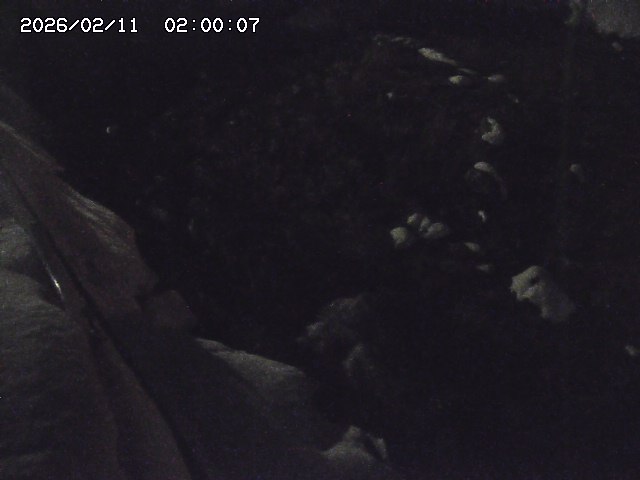 私都川７2026/02/11 3:10:00