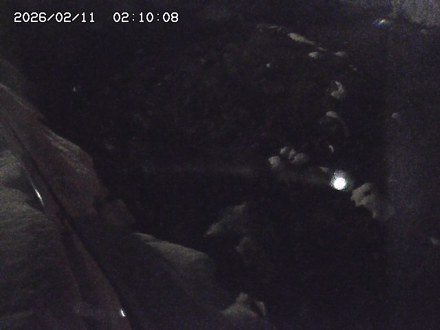 私都川７2026/02/11 3:10:00