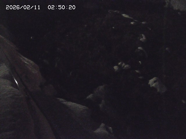 私都川７2026/02/11 3:10:00