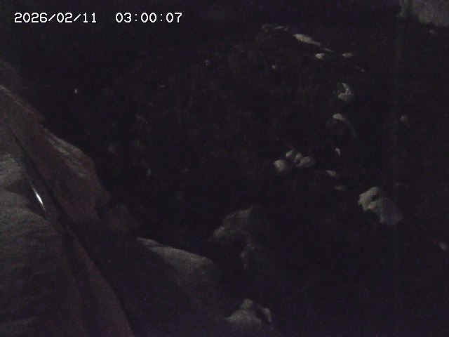 私都川７2026/02/11 3:10:00