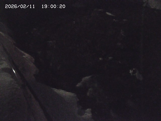 私都川７2026/02/12 18:50:00