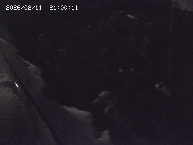 私都川７2026/02/12 18:50:00