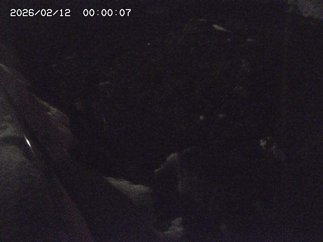 私都川７2026/02/12 18:50:00