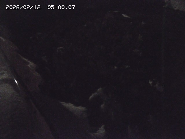 私都川７2026/02/12 18:50:00