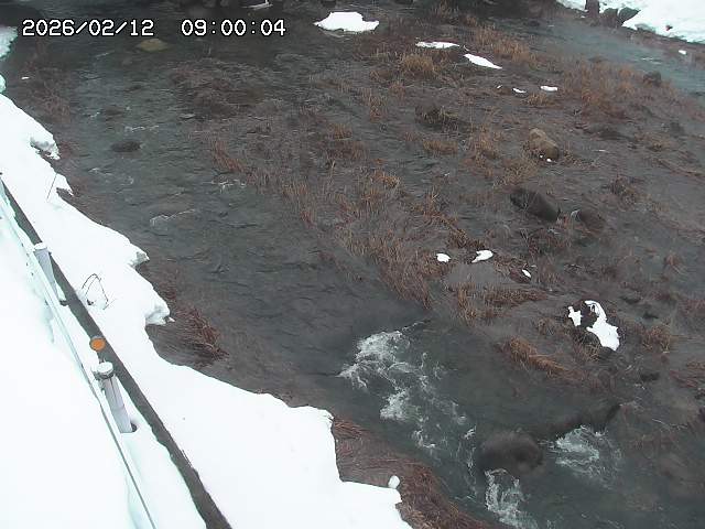 私都川７2026/02/12 18:50:00