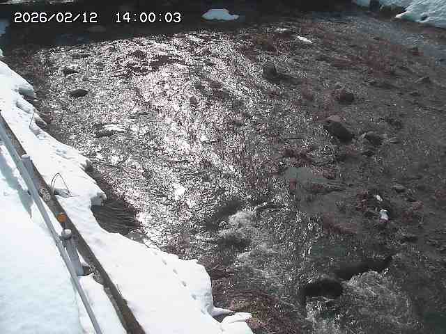 私都川７2026/02/12 18:50:00