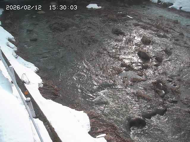 私都川７2026/02/12 18:50:00