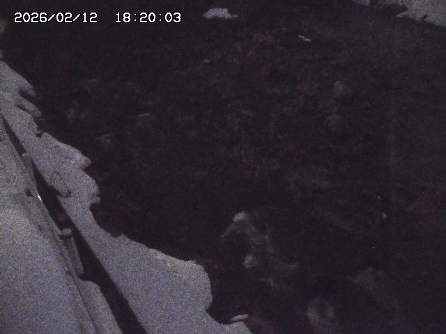 私都川７2026/02/12 18:50:00