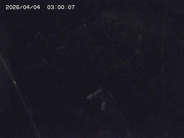 私都川７2026/04/05 3:30:00