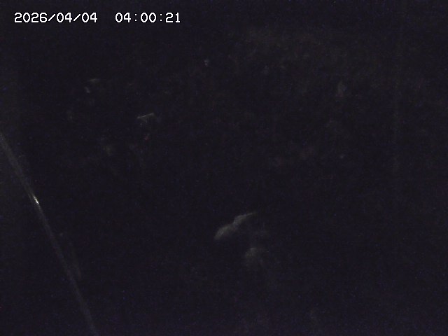 私都川７2026/04/05 3:30:00