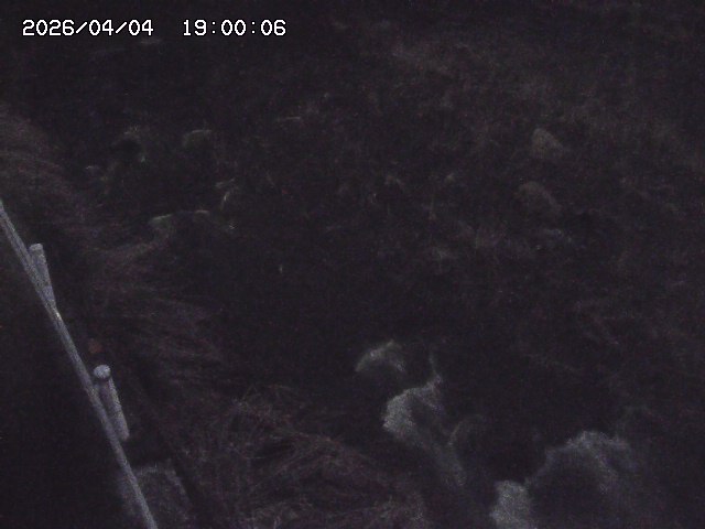 私都川７2026/04/05 3:30:00