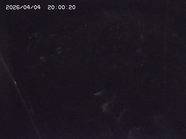 私都川７2026/04/05 3:30:00