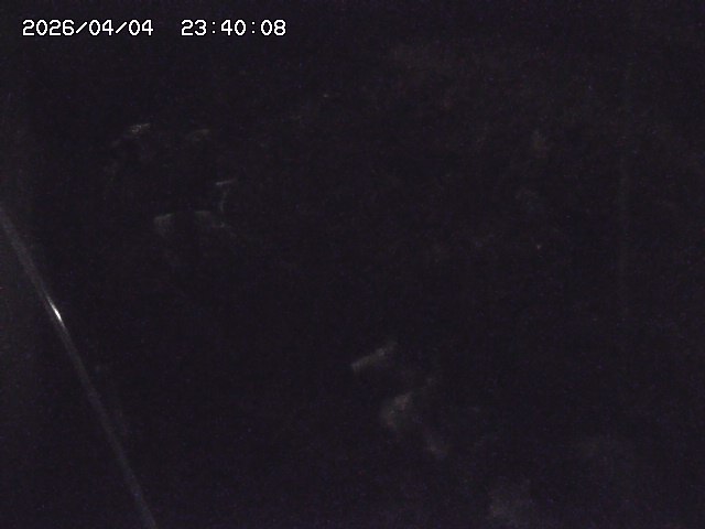 私都川７2026/04/05 3:30:00