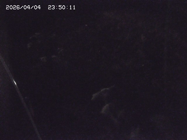 私都川７2026/04/05 3:30:00