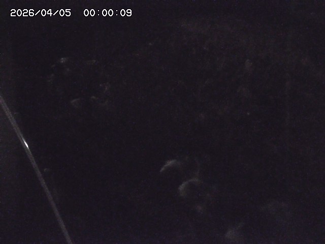 私都川７2026/04/05 3:30:00