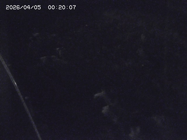 私都川７2026/04/05 3:30:00