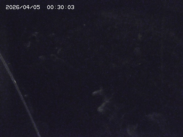 私都川７2026/04/05 3:30:00