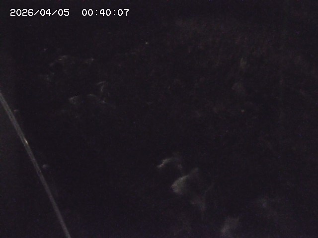 私都川７2026/04/05 3:30:00