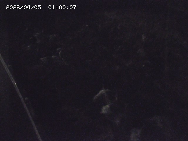 私都川７2026/04/05 3:30:00