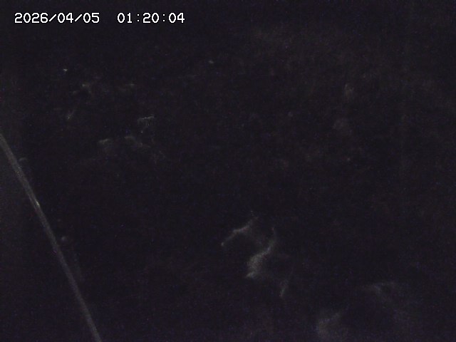 私都川７2026/04/05 3:30:00