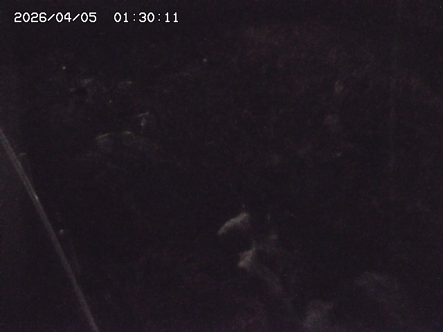 私都川７2026/04/05 3:30:00