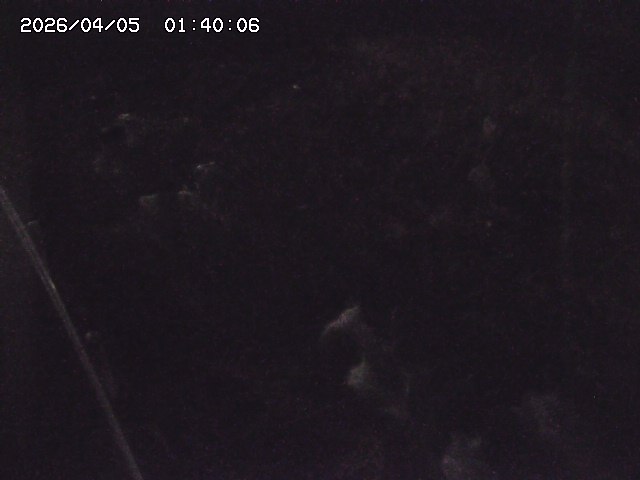 私都川７2026/04/05 3:30:00