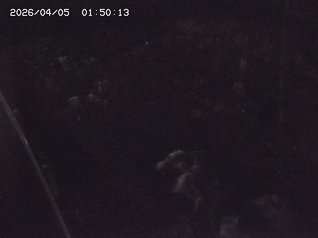 私都川７2026/04/05 3:30:00