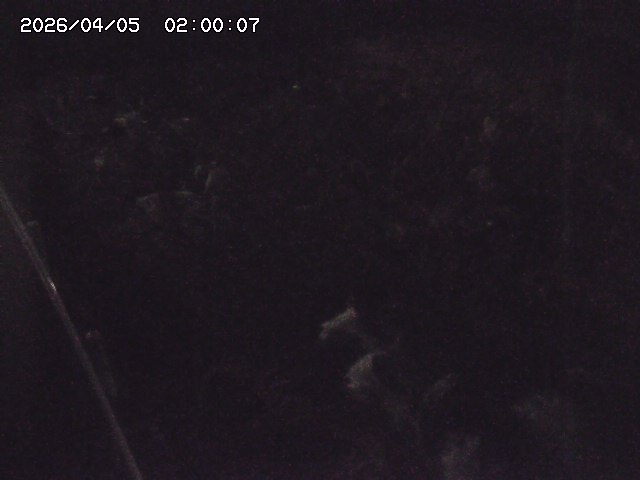 私都川７2026/04/05 3:30:00