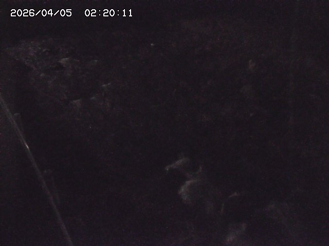 私都川７2026/04/05 3:30:00