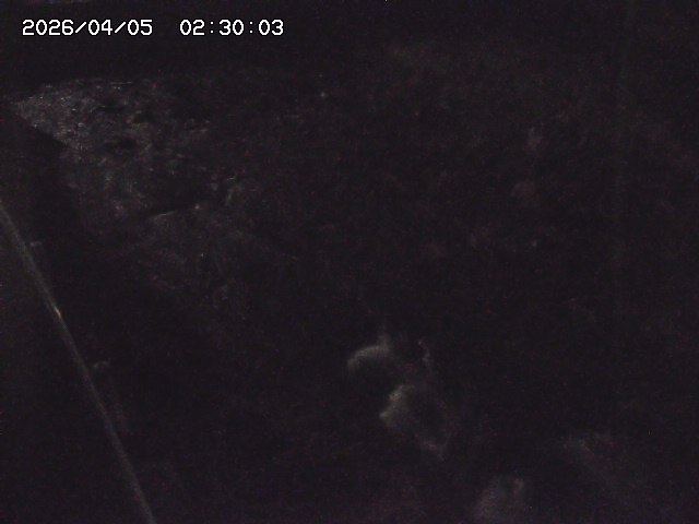 私都川７2026/04/05 3:30:00