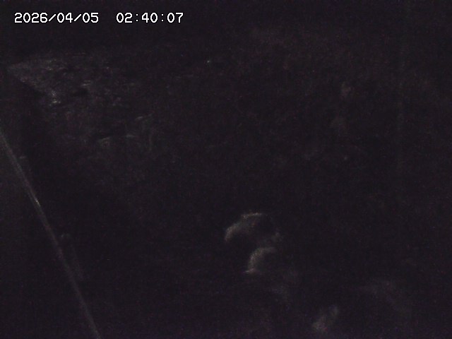 私都川７2026/04/05 3:30:00