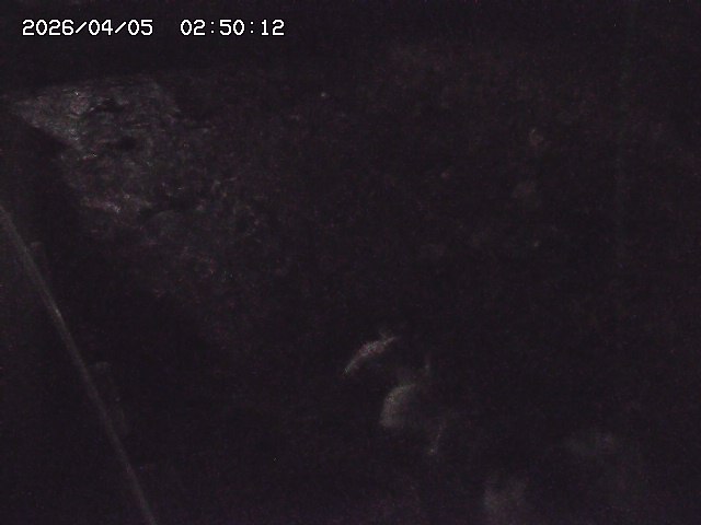 私都川７2026/04/05 3:30:00