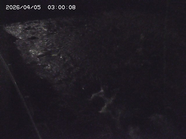 私都川７2026/04/05 3:30:00