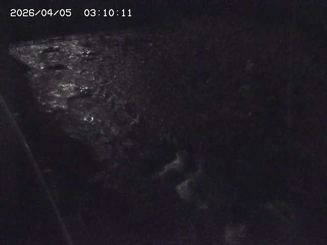 私都川７2026/04/05 3:30:00