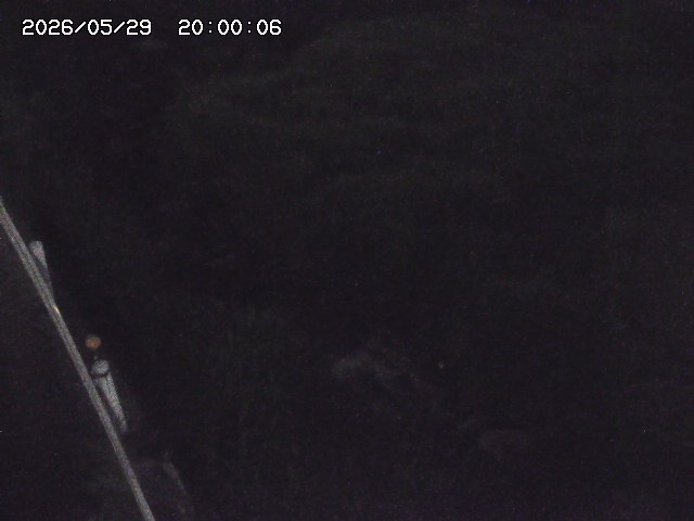 私都川７2026/05/30 3:30:00