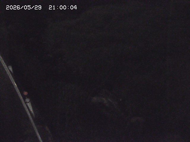 私都川７2026/05/30 3:30:00