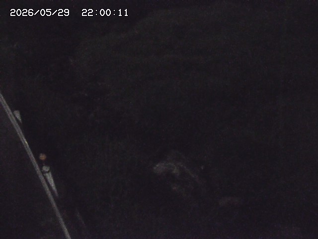 私都川７2026/05/30 3:30:00