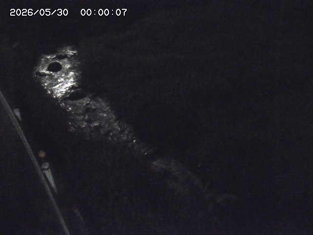 私都川７2026/05/30 3:30:00
