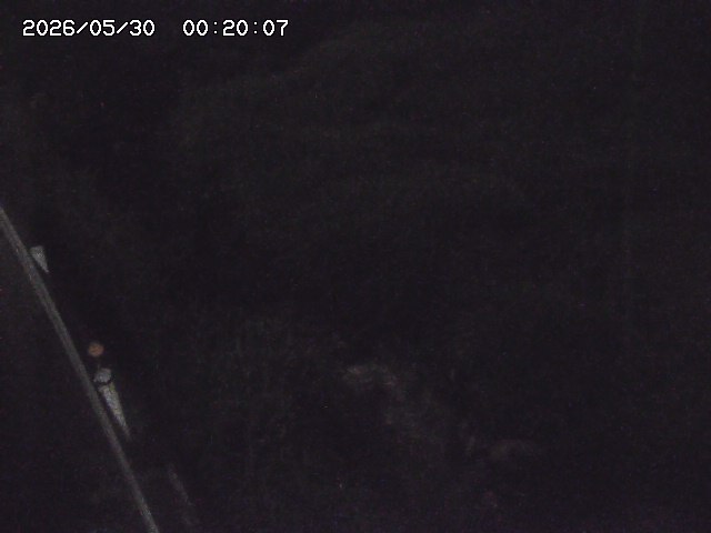 私都川７2026/05/30 3:30:00