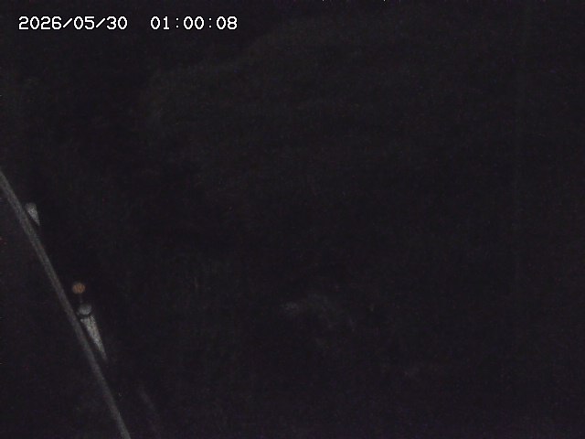私都川７2026/05/30 3:30:00
