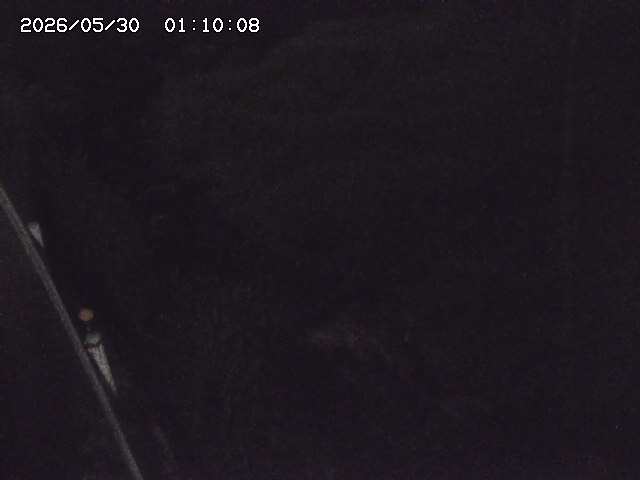私都川７2026/05/30 3:30:00