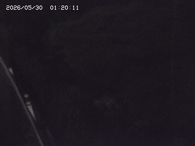 私都川７2026/05/30 3:30:00