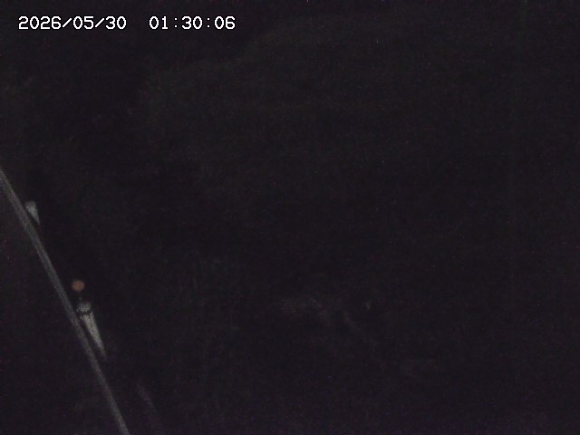 私都川７2026/05/30 3:30:00